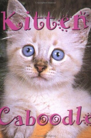 Cover of Kitten Caboodle