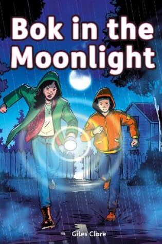 Cover of Bok in the Moonlight (Set 05)