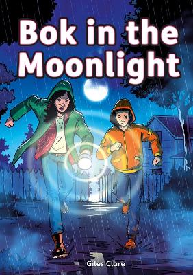 Cover of Bok in the Moonlight (Set 05)