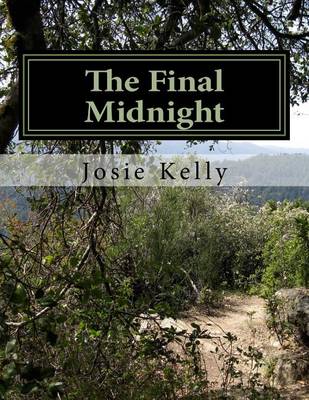 Book cover for The Final Midnight