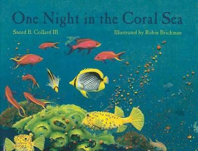 Book cover for One Night in the Coral Sea