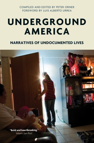 Cover of Underground America