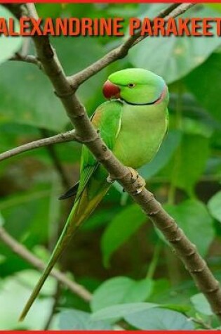 Cover of Alexandrine Parakeet