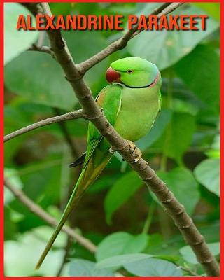 Book cover for Alexandrine Parakeet