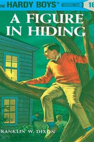 Cover of Hardy Boys 16