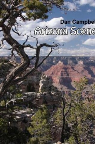 Cover of Arizona Scenes