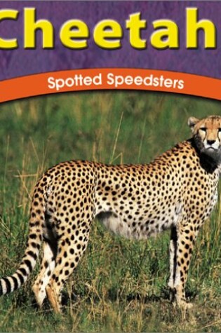 Cover of Cheetahs