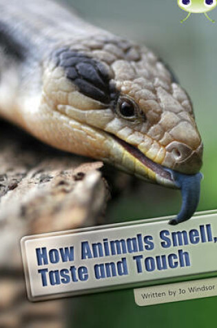 Cover of Bug Club Independent Non Fiction Year Two White A How Animals Smell, Taste and Touch