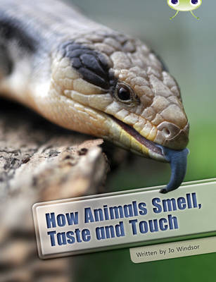 Book cover for Bug Club Independent Non Fiction Year Two White A How Animals Smell, Taste and Touch