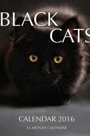 Cover of Black Cats Calendar 2016