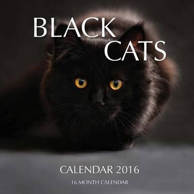 Book cover for Black Cats Calendar 2016