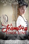 Book cover for A Seamstress Finds Love