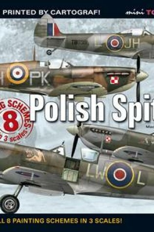 Cover of Polish Spitfires