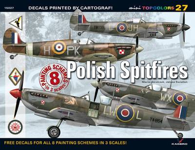 Book cover for Polish Spitfires