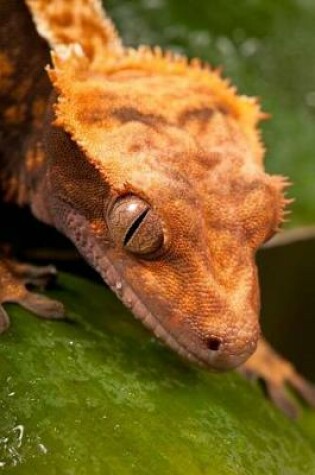 Cover of New Caledonian Crested Gecko Journal