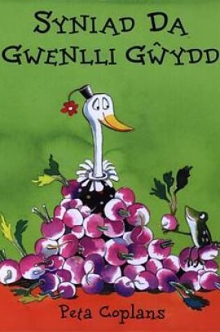 Cover of Syniad Da Gwenlli Gŵydd