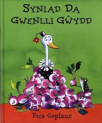 Book cover for Syniad Da Gwenlli Gŵydd