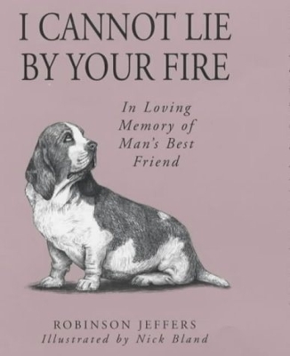 Book cover for I Cannot Lie by Your Fire