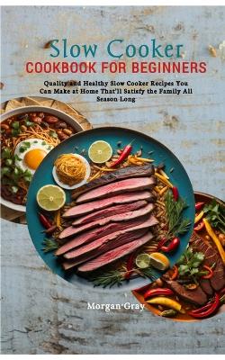 Book cover for Slow Cooker Cookbook for Beginners