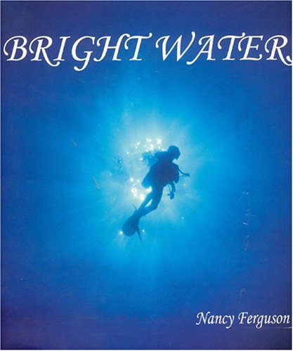 Book cover for Bright Waters