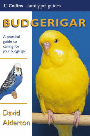 Cover of Budgerigar