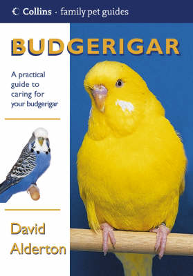 Cover of Budgerigar