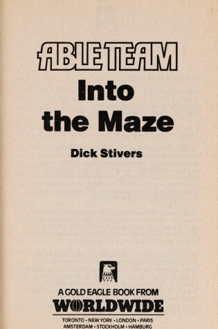 Cover of Into Maze