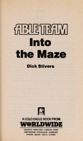 Book cover for Into Maze