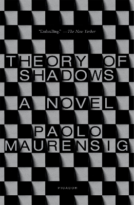 Book cover for Theory of Shadows