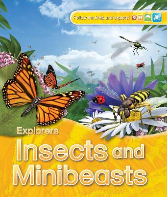 Book cover for Explorers: Insects and Minibeasts