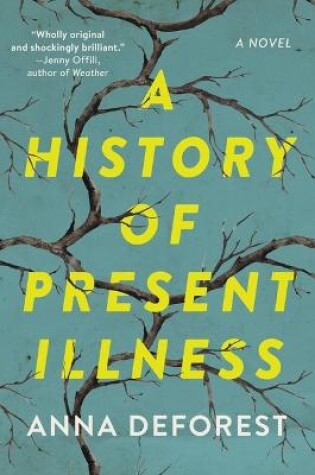 Cover of A History of Present Illness