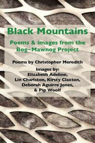 Cover of Black Mountains