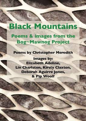 Book cover for Black Mountains