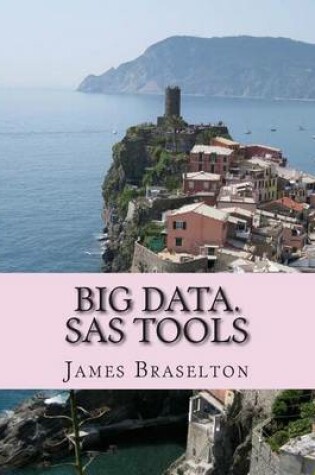 Cover of Big Data. SAS Tools