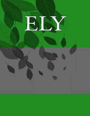 Book cover for Ely