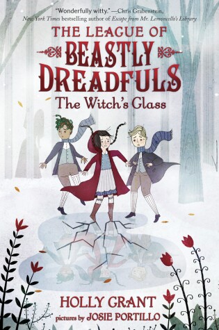 Cover of The Witch's Glass