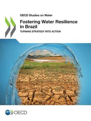 Book cover for Fostering water resilience in Brazil