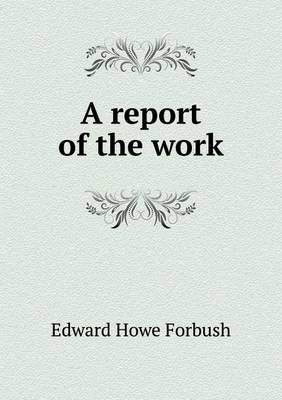 Book cover for A report of the work