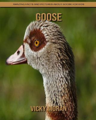 Book cover for Goose