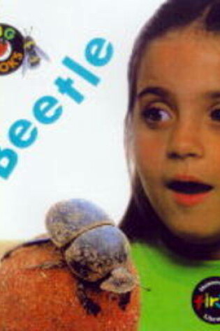 Cover of Bug Books: Beetle