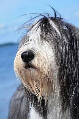 Cover of The Bearded Collie Dog Journal