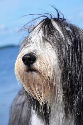 Book cover for The Bearded Collie Dog Journal