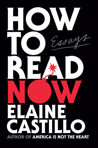 Book cover for How to Read Now
