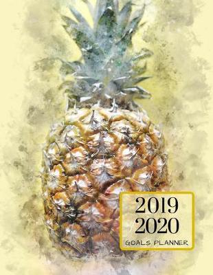 Book cover for 2019 2020 Pineapple Fruit 15 Months Daily Planner