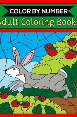 Cover of Color By Number Adult Coloring Books