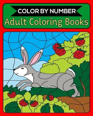 Book cover for Color By Number Adult Coloring Books