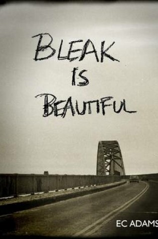 Cover of Bleak is Beautiful