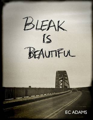 Book cover for Bleak is Beautiful