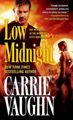 Book cover for Low Midnight