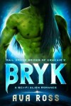 Book cover for Bryk